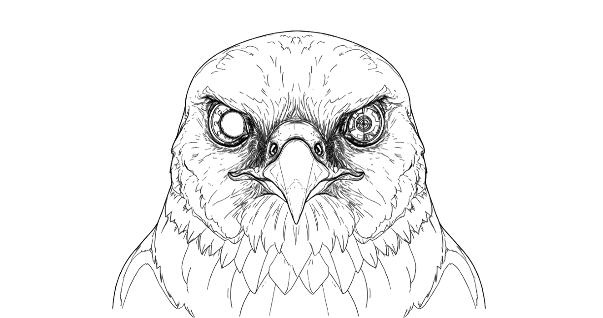 Bio-inspired eagle eye vision - neuromorphic sensor technology